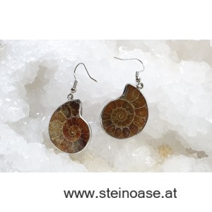 Ohrhänger Ammoniten 